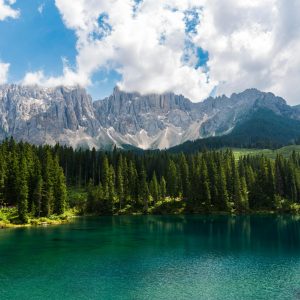 boschi